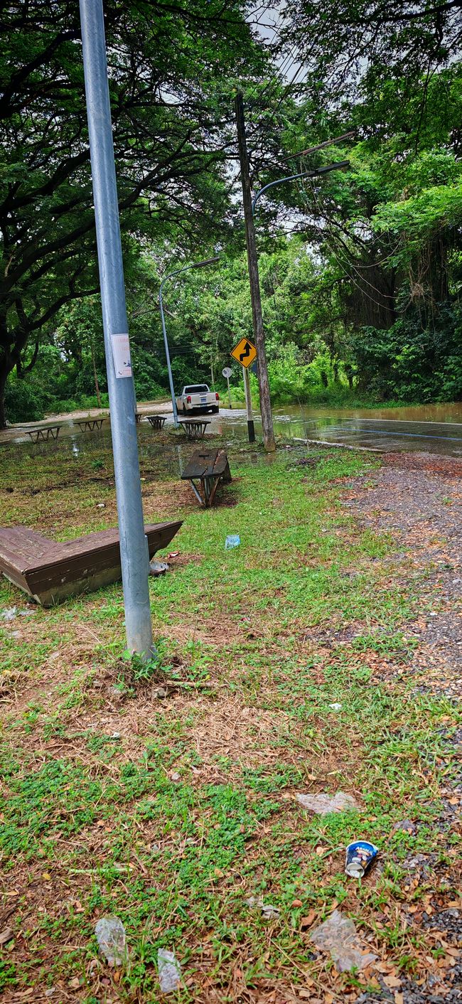 Hat ein bisschen geregnet gestern