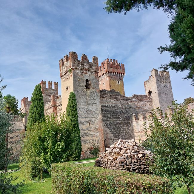 Lazise