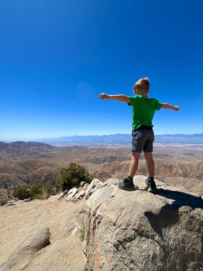 Parc national de Joshua Tree