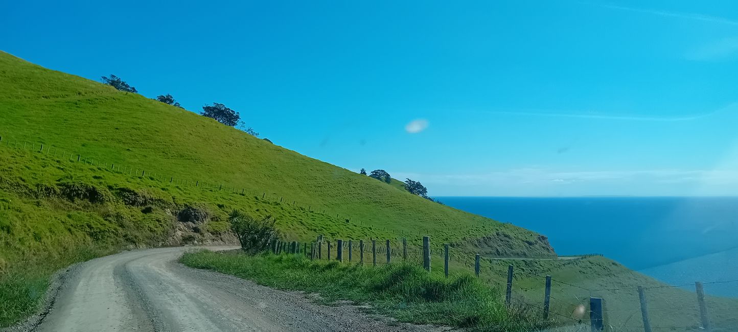 Coromandel Norte