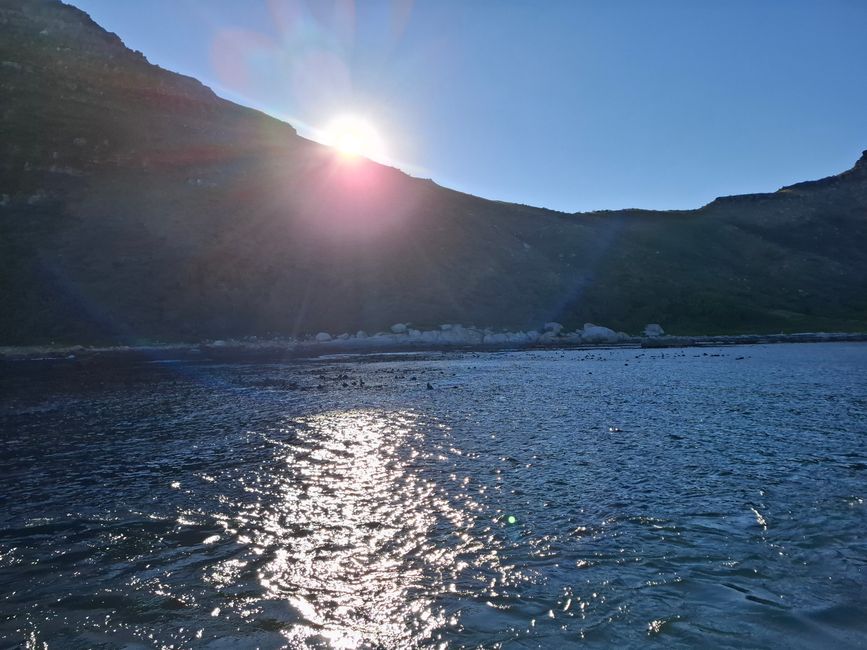 Cabo de Buena Esperanza + Playa de Boulders