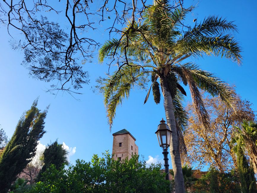 Jardín andaluz