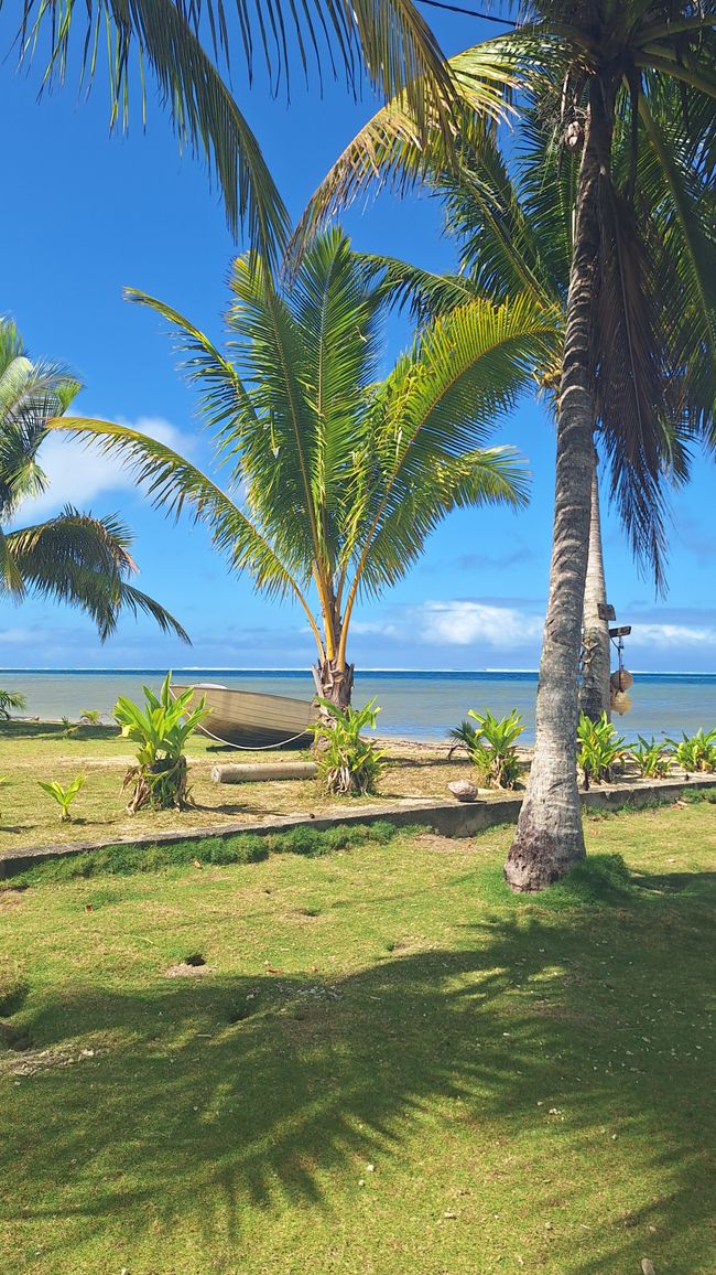 Willkommen im Paradies // welcome to paradise