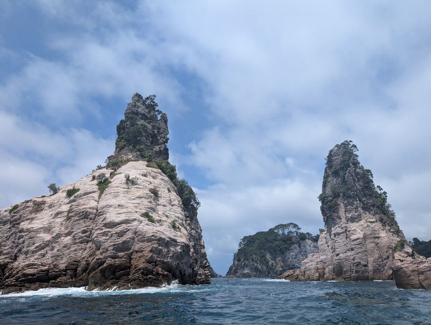 Coromandel Halbinsel - You spin my head right round, because its getting hot in here!