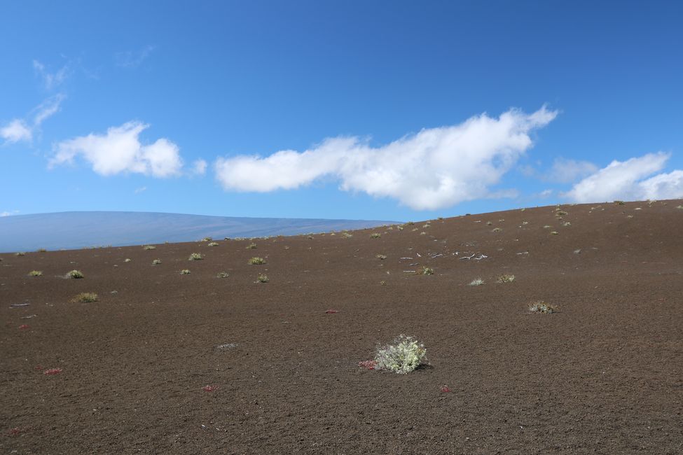 We are visiting the Kilauea Volcano