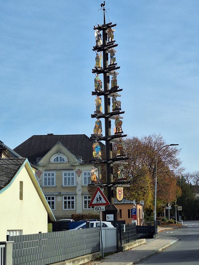 Maibaum 