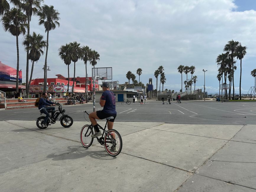 Venecia/Músculo y Huntington Beach y LA