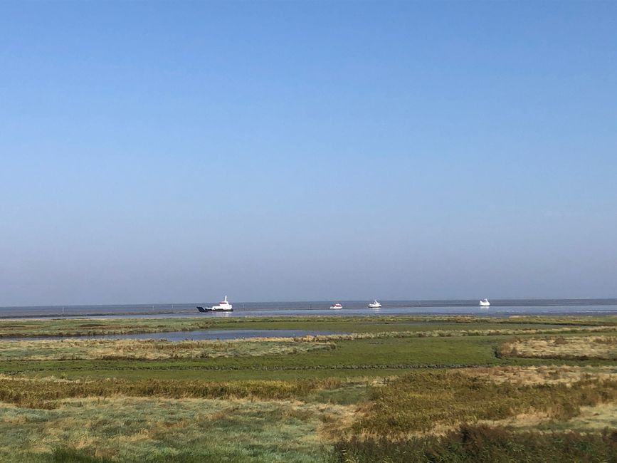 Estos barcos están en el camino hacia Carolinensiel