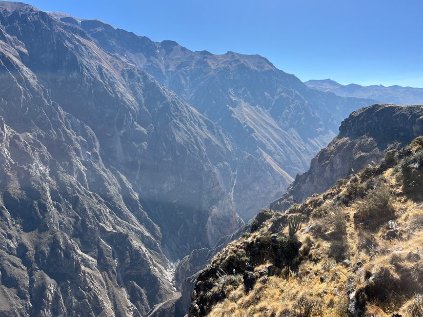 Canyon de Colca