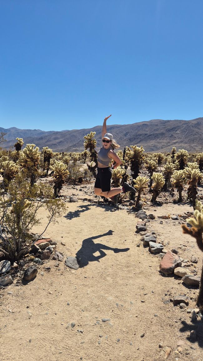 26.09. Joshua Tree Park