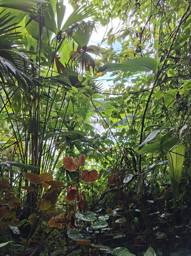 Semaine 2 : La nature te poursuivra