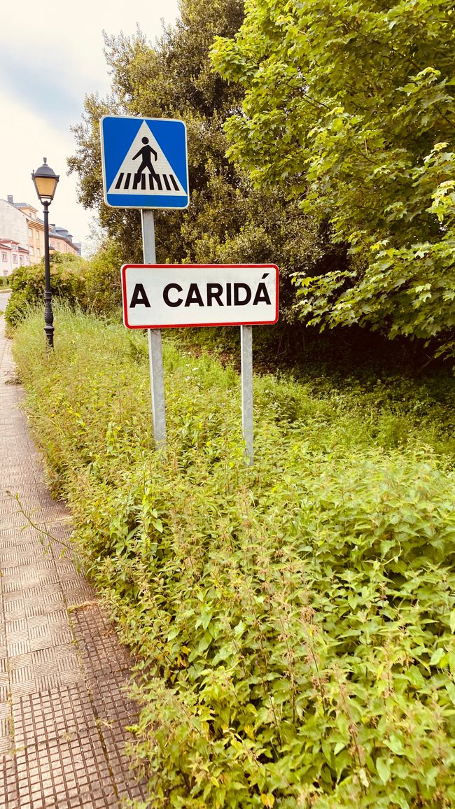 Tag 5 Navia - Tapia