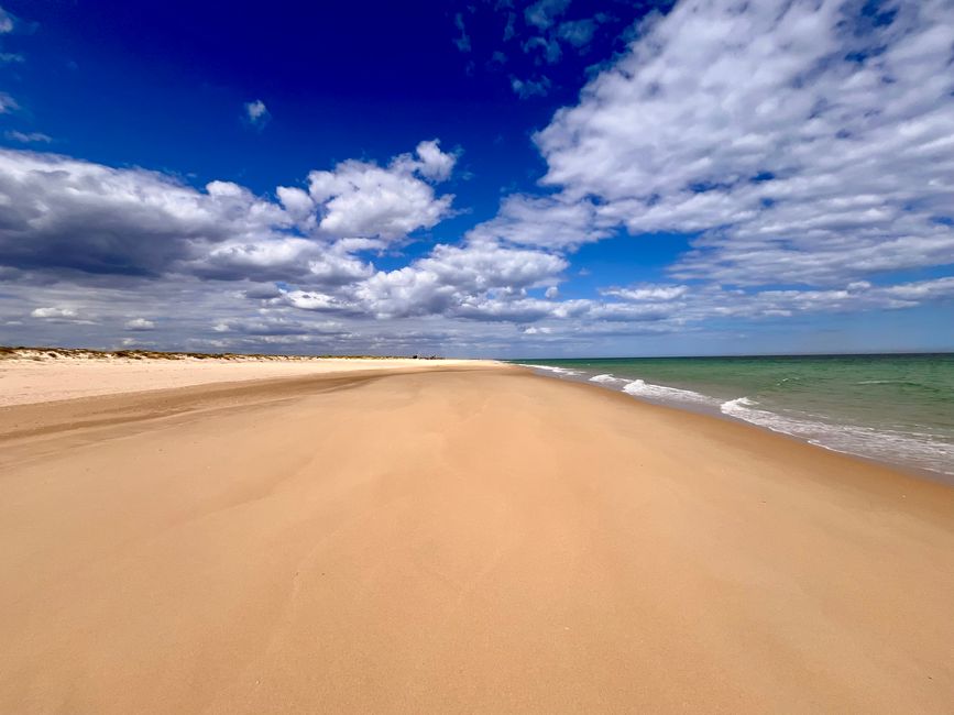 Die Küster der Algarve im Osten, nicht die dänische Nordseeküste!