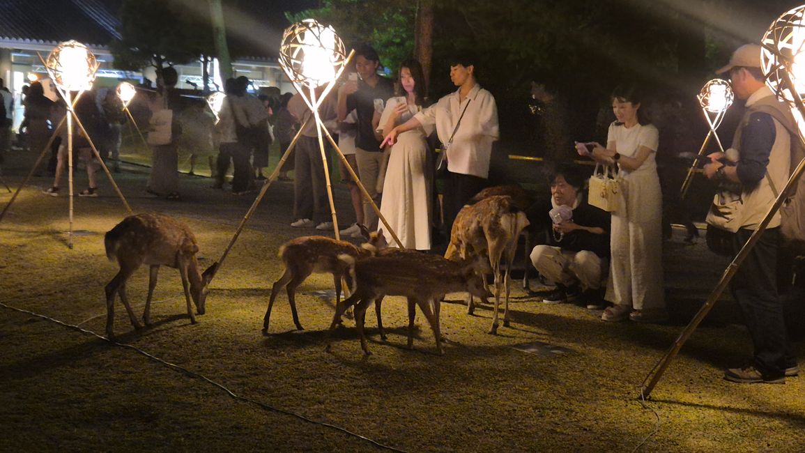 Nara Tokae Stadtfest