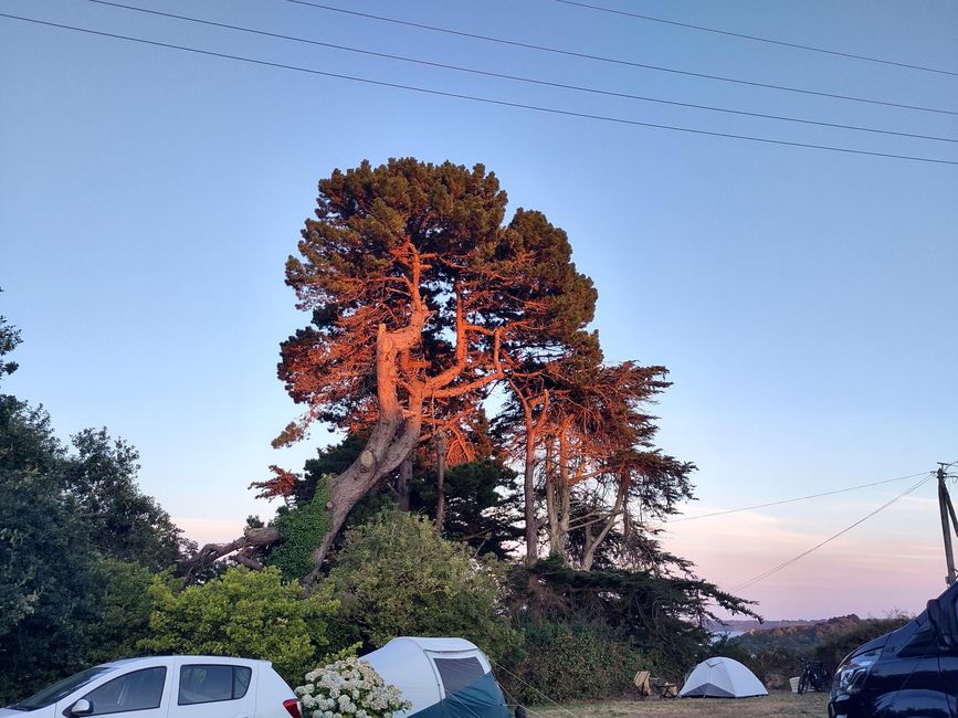 Ein besonderer Campingplatz