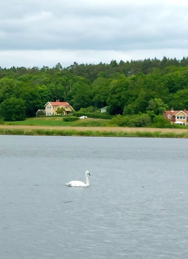Southern Sweden Tour - Day 6