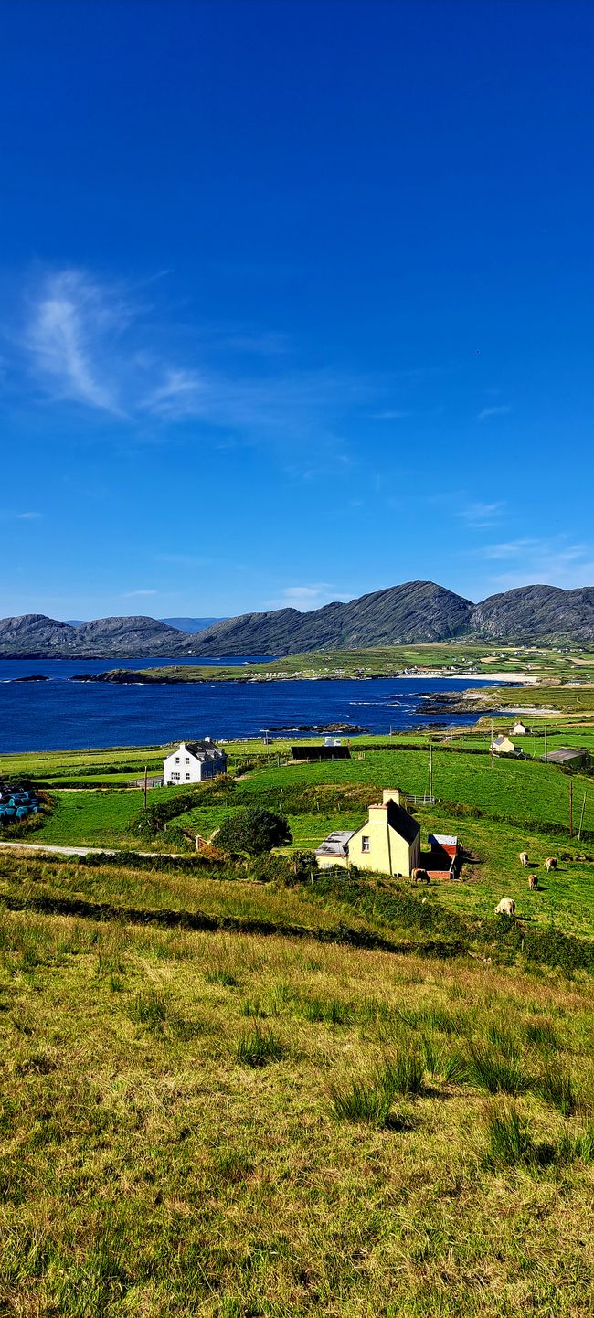 Sláinte vs. Namaste