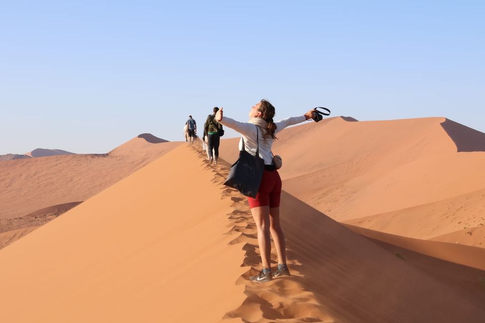 Namib Desert 🏜️ 