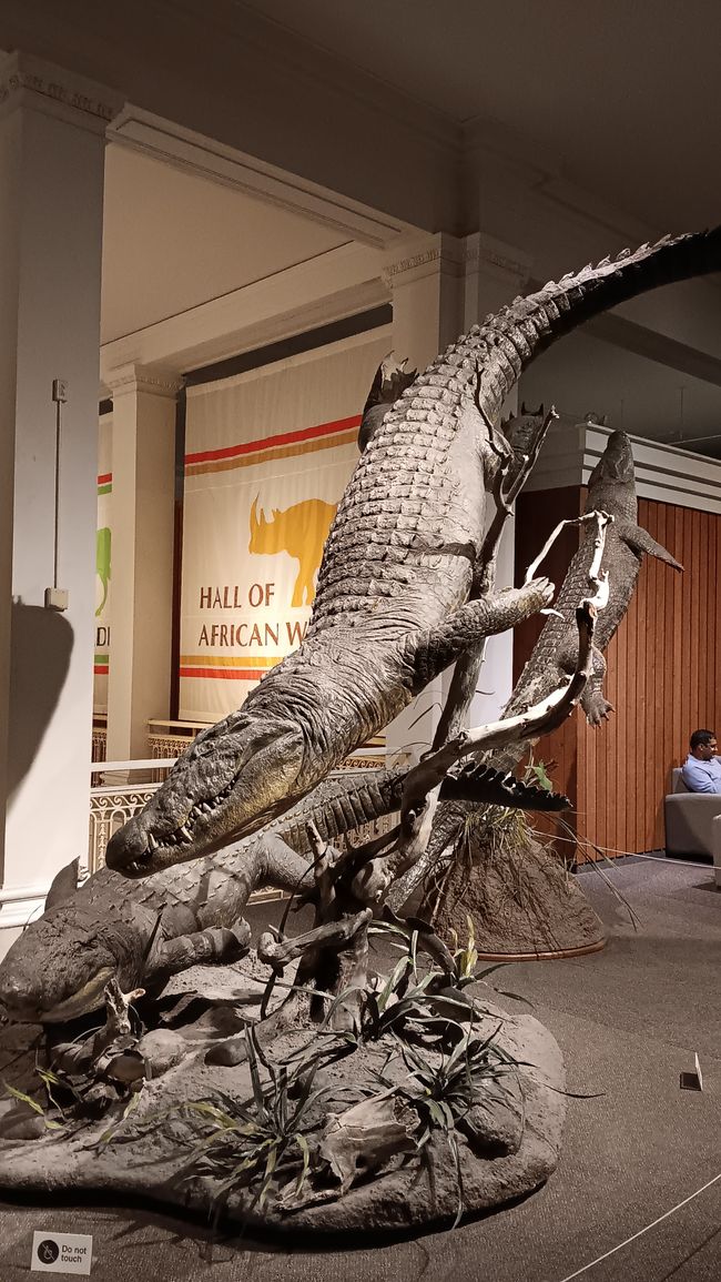 Museum of natural history I