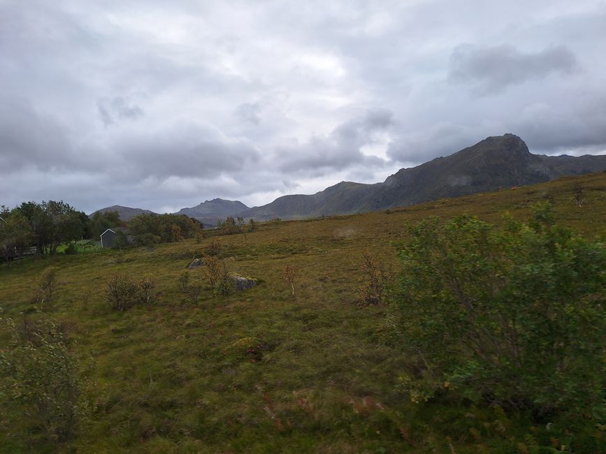 Etiqueta 11 Lofoten
