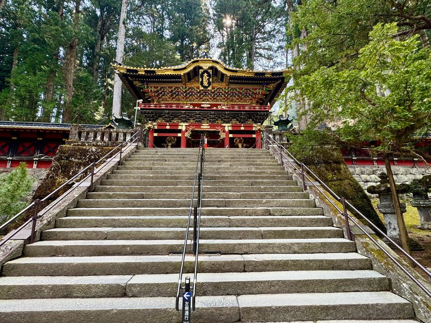 Parte 7
BENVENUTO IN GIAPPONE 🇯🇵
TOKYO