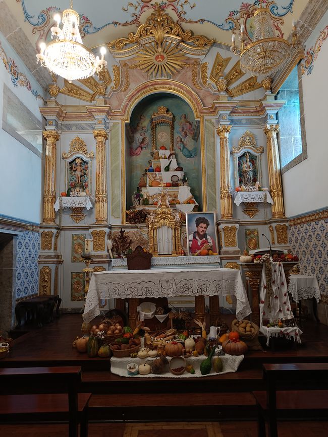  Harvest Festival