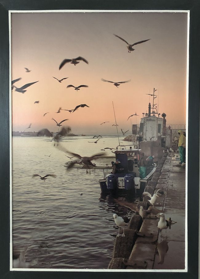 Die Fischindustrie in Lambert´s Bay 