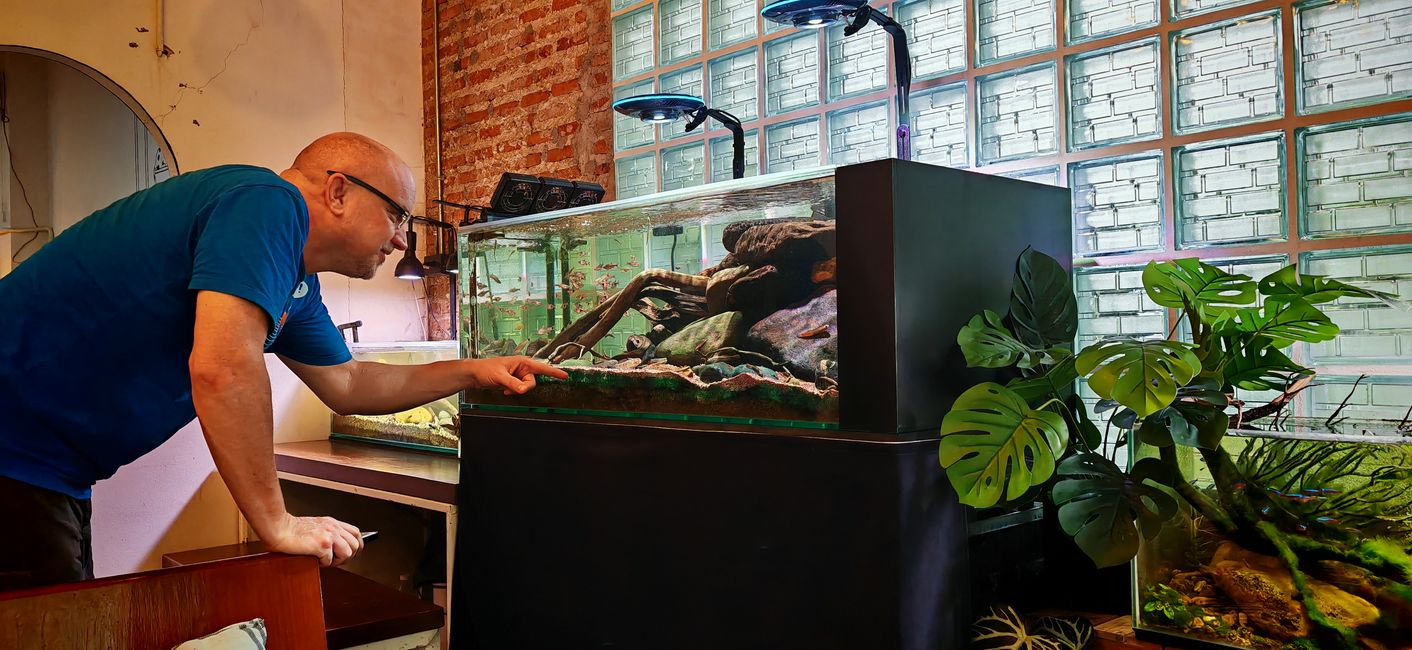 Phrae + Fahrt nach Sukhothai