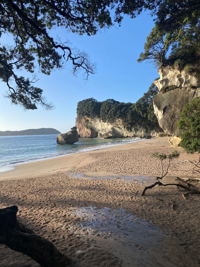 Coromandel loop