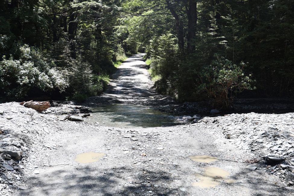 Auf nach Paradise zu "Herr der Ringe"