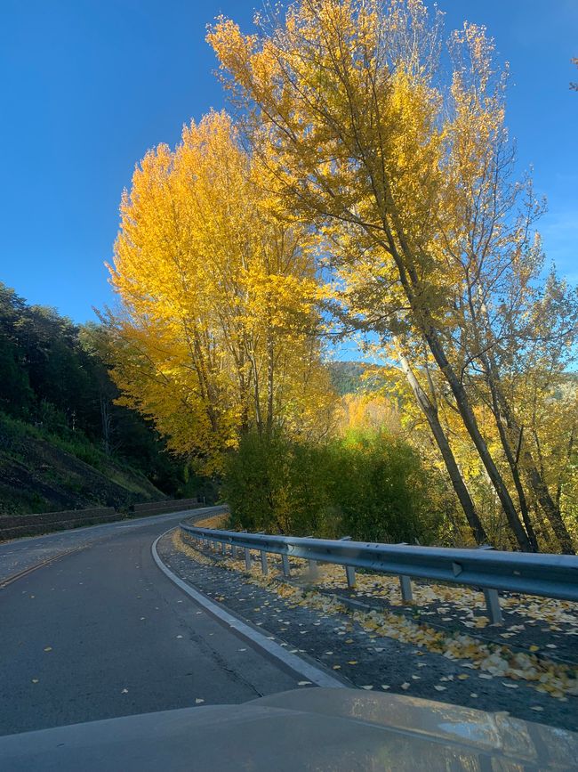 Viaggio in Patagonia Parte 5: Strada per Rio Tranquilo
