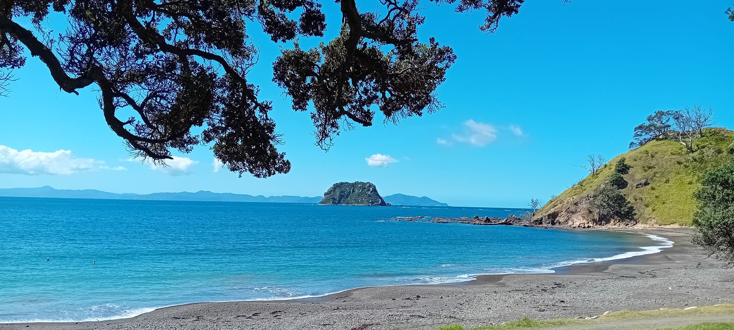 Coromandel Norte