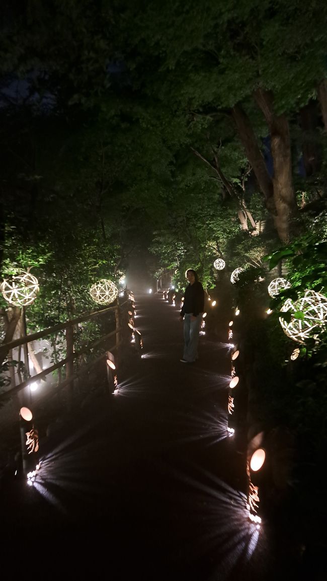Beautiful Tokyo