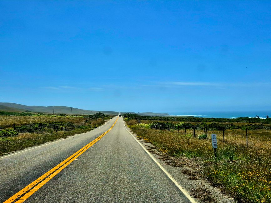 Poi ancora meravigliose miglia verso Morro Bay