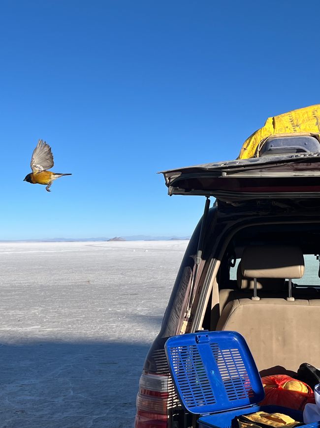 Salar de Uyuni