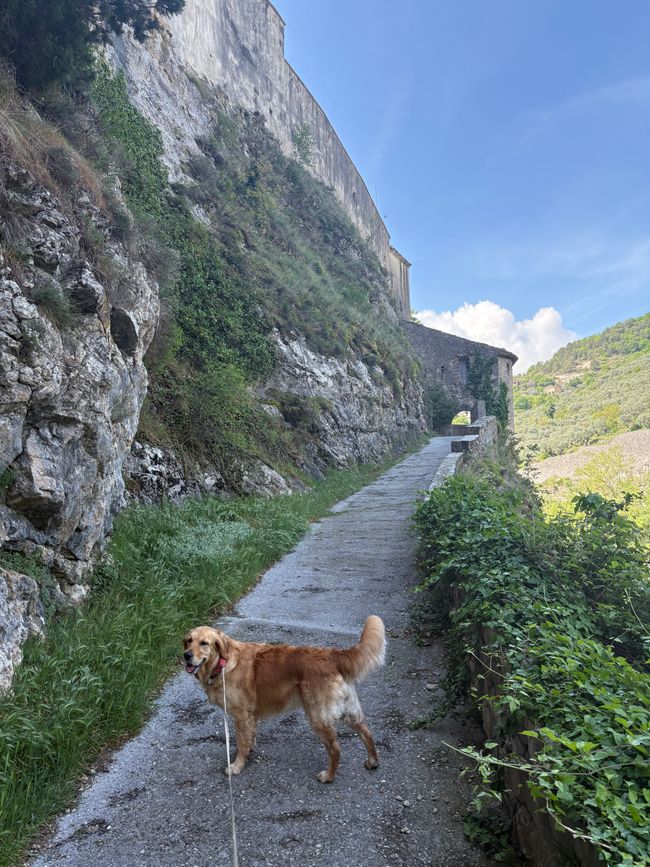 Entrevaux