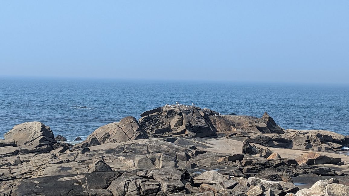 Vierte Etappe von Viana do Castelo bis nach Vila Praia de Ancora