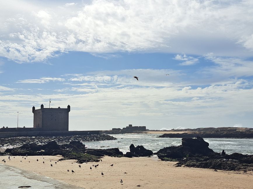 Essaouira y el que parece ser el viaje a casa más largo del mundo