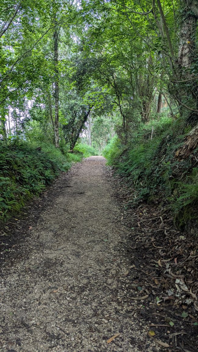 13. Stage Camino del Norte from Barro to Camango