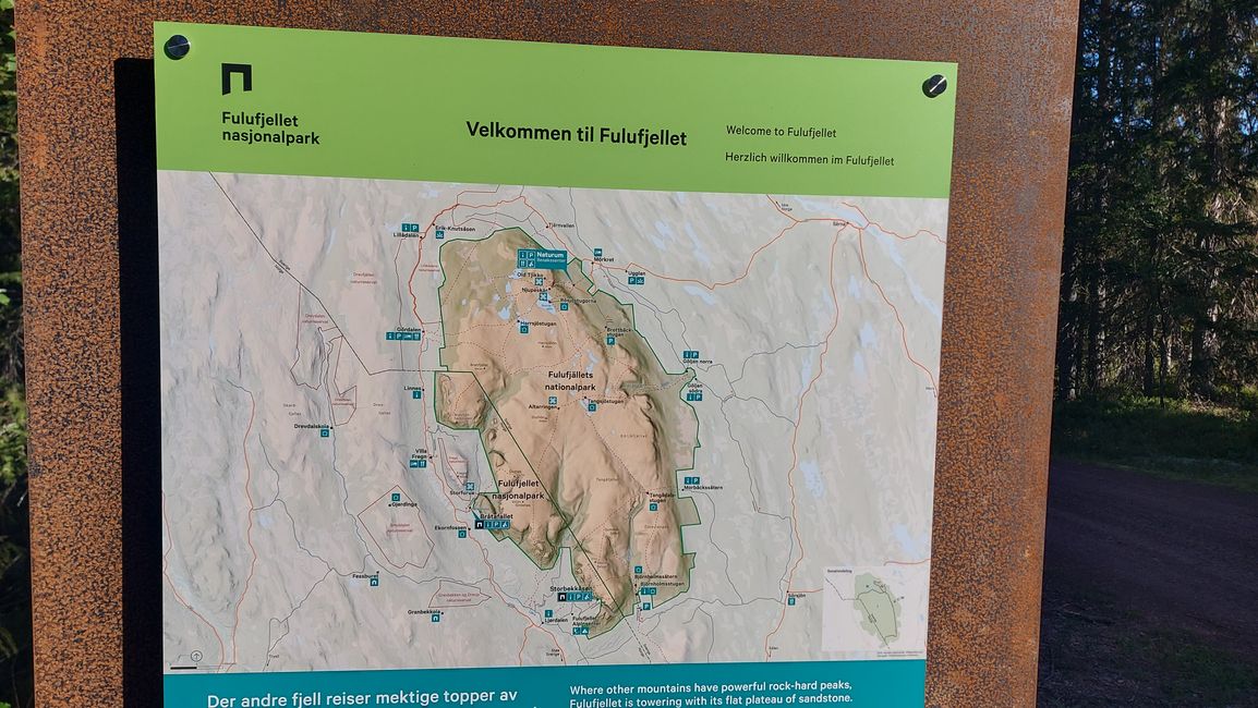 Parc national de Fulufjellet - Safari d'élans