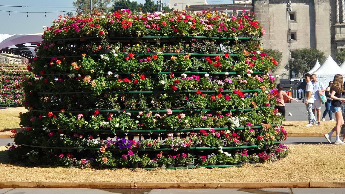 Por el Día de San Valentín