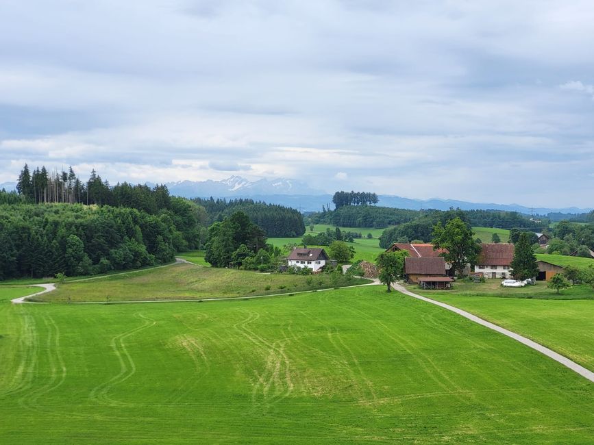 Vue depuis la tour d'observation