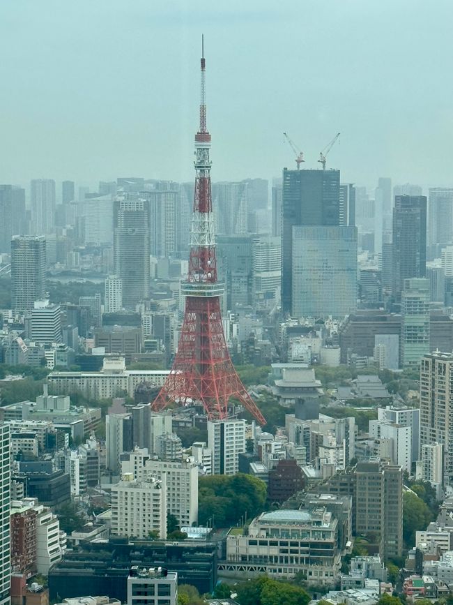 Parte 7
BENVENUTO IN GIAPPONE 🇯🇵
TOKYO