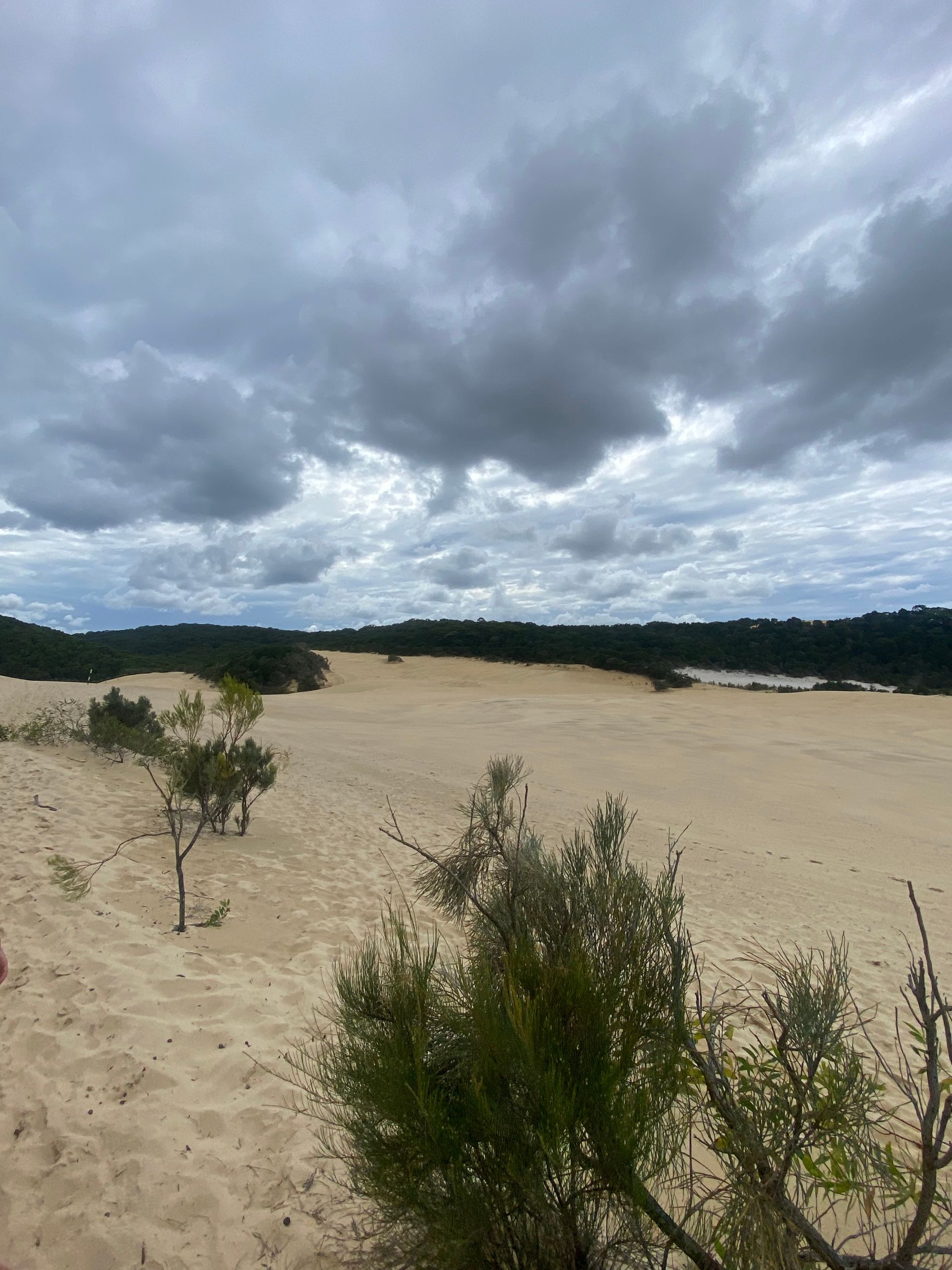 Sanddünen Fraser Island