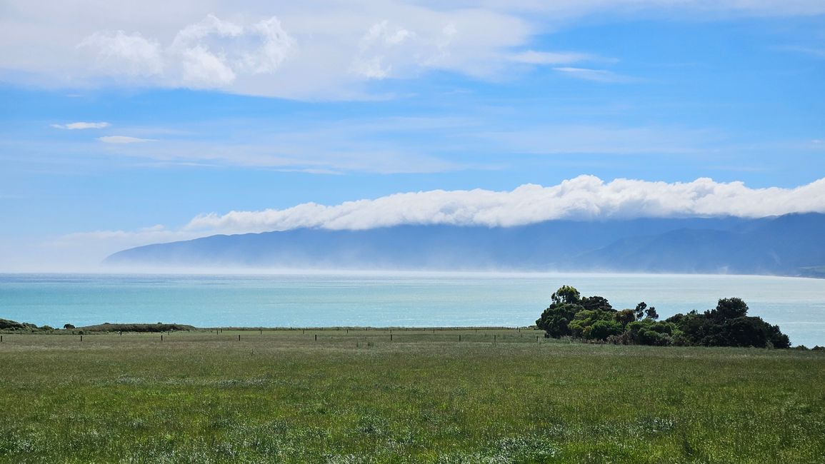 Classic New Zealand Wine Trail - Putangirua Pinnacles - Cape Palliser