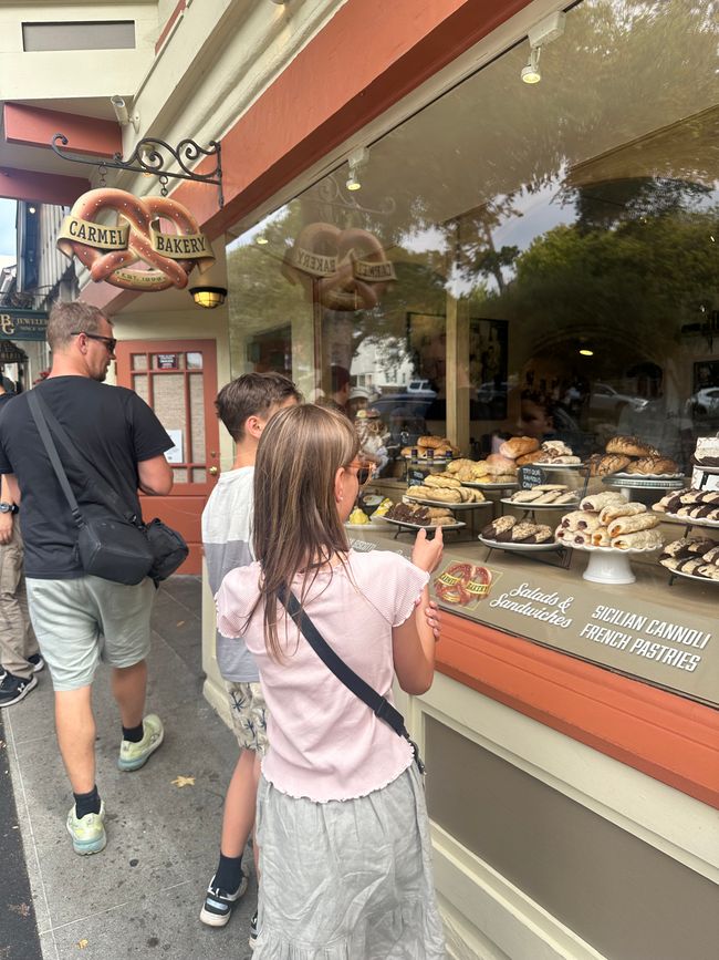 Santa Cruz-Monterey-Big Sur-Carmel by the Sea