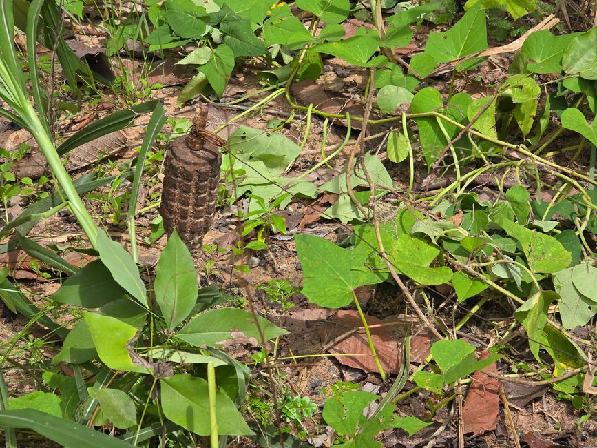 Aki Ra's Cambodia Landmine Museum