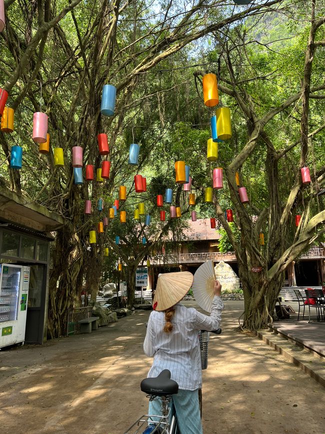 Eine volle Ladung Ninh Binh (Teil 1)
