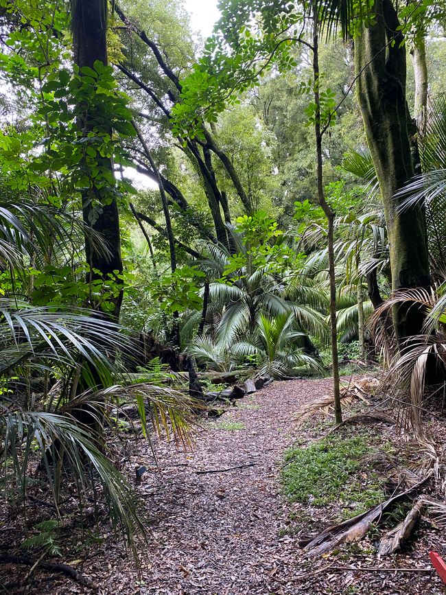 Hukutaia Domain