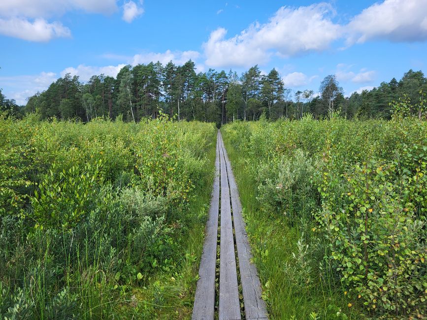 Moor Store Mosse Nationalpark